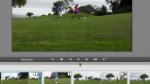 FilmLooks FilmLooks
