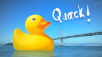 Kush using Photoshop Touch on Samsung Galaxy Note 10.1 ‘Giant Rubber Duck’