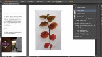 Exclusive Adobe Illustrator Update for Creative Cloud Members 8-28-12