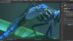 Working with the Zoom tool Working with the Zoom tool