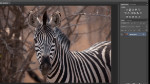 Using Adjustment Layers: A Basic Workflow Using Adjustment Layers: A Basic Workflow