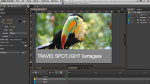 New Features in Edge Animate 1.5 New Features in Edge Animate 1.5
